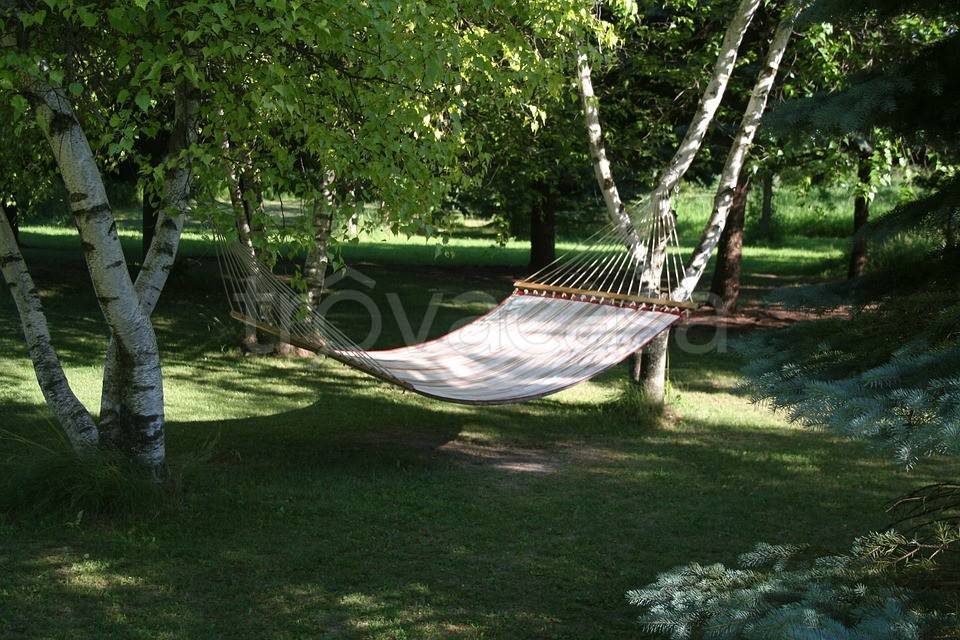 immagine annuncio 2 di 4