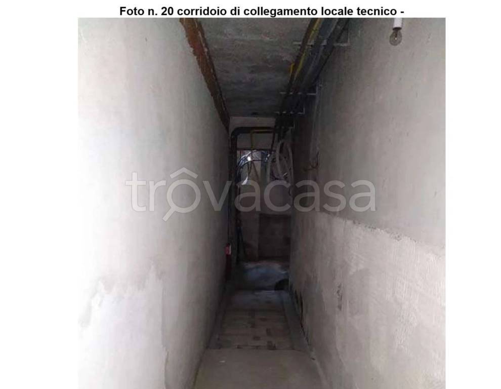 immagine annuncio 6 di 14