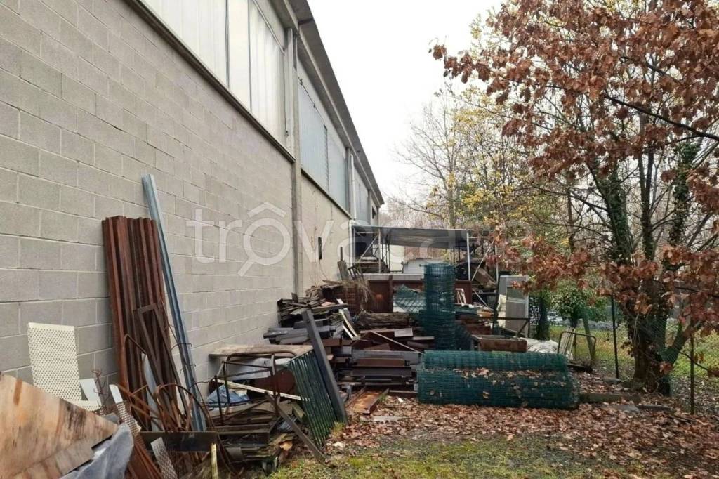 immagine annuncio 3 di 14