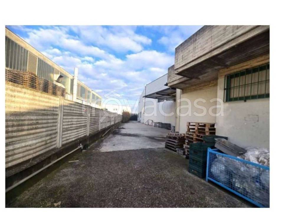 immagine annuncio 5 di 15