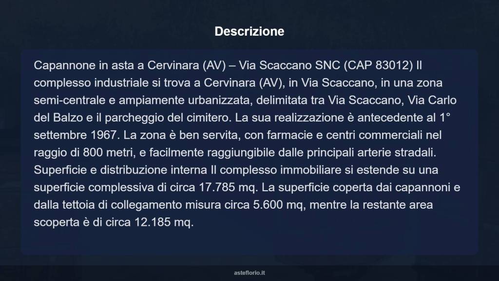 immagine annuncio 3 di 10