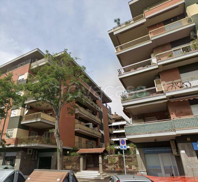 immagine annuncio 5 di 14