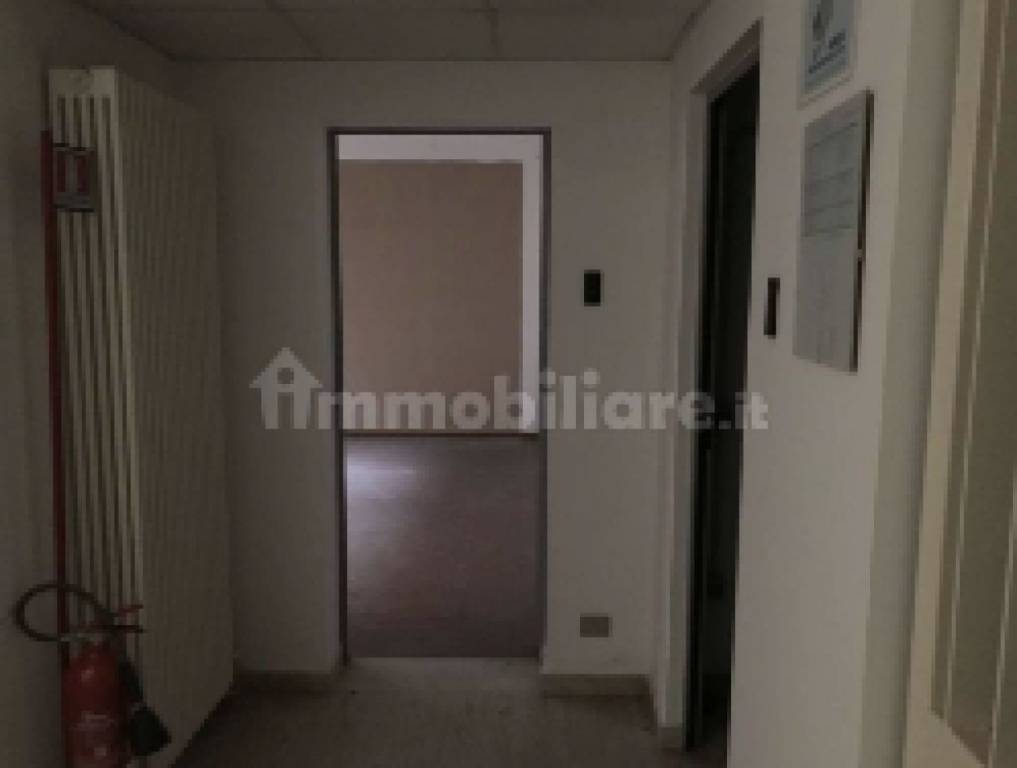 immagine annuncio 7 di 12