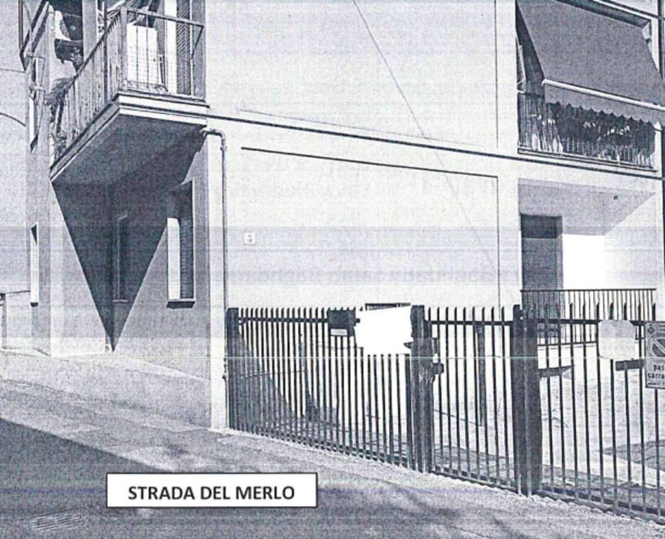 immagine annuncio 2 di 12