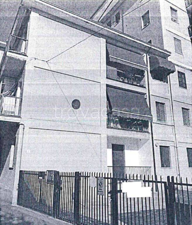 immagine annuncio 4 di 12