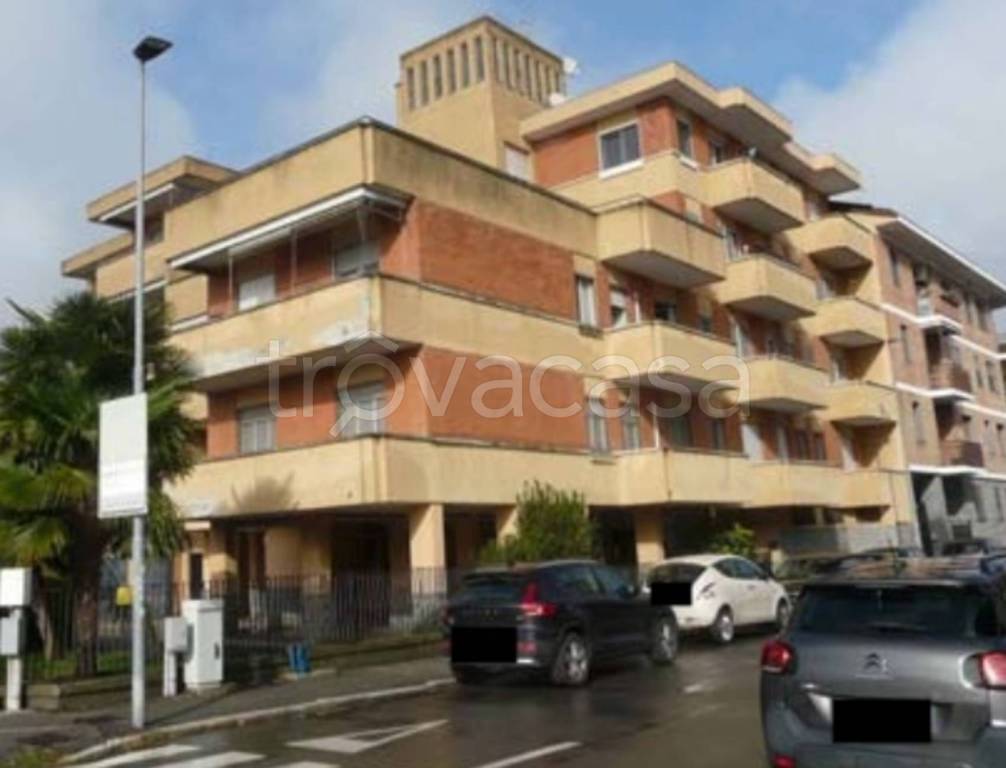immagine annuncio 2 di 12