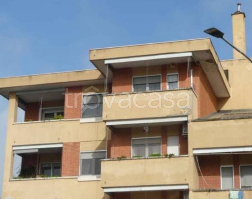 immagine annuncio 11 di 12