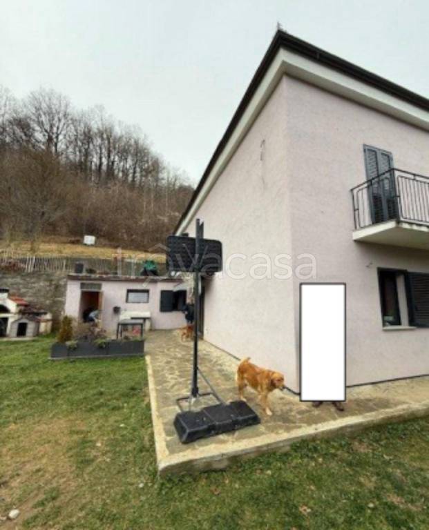 immagine annuncio 7 di 11