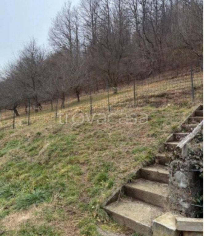 immagine annuncio 8 di 11