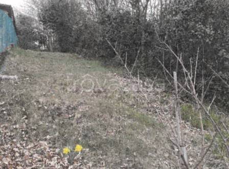 immagine annuncio 3 di 8