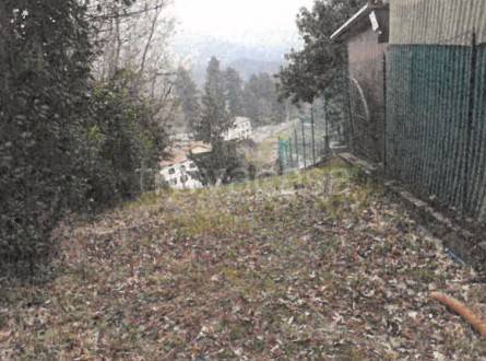 immagine annuncio 4 di 8