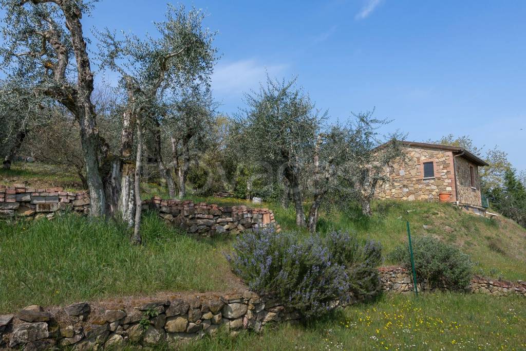 immagine annuncio 11 di 14