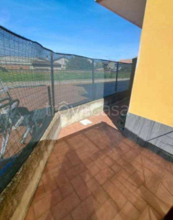immagine annuncio 5 di 11