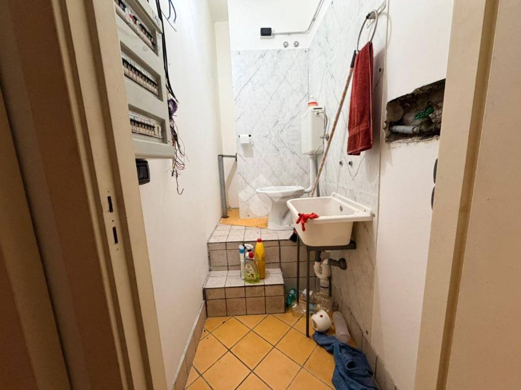 immagine annuncio 10 di 12