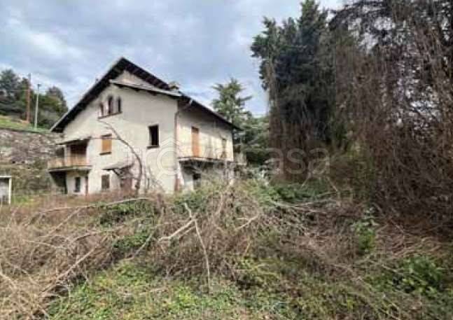 immagine annuncio 5 di 13