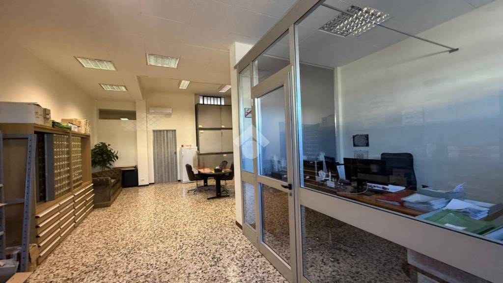 immagine annuncio 6 di 12