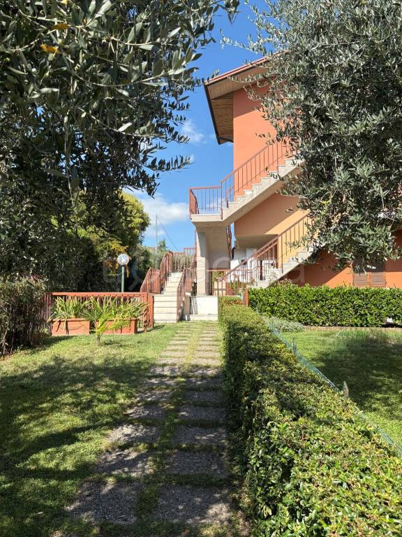 immagine annuncio 7 di 14
