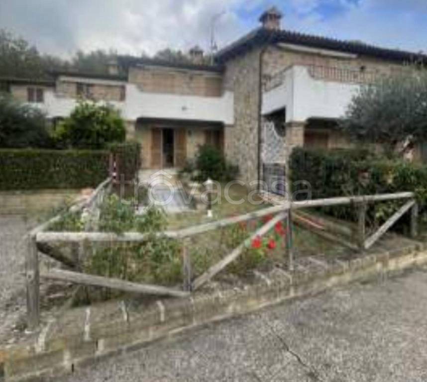 immagine annuncio 7 di 12