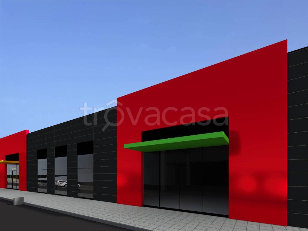 immagine annuncio 5 di 11