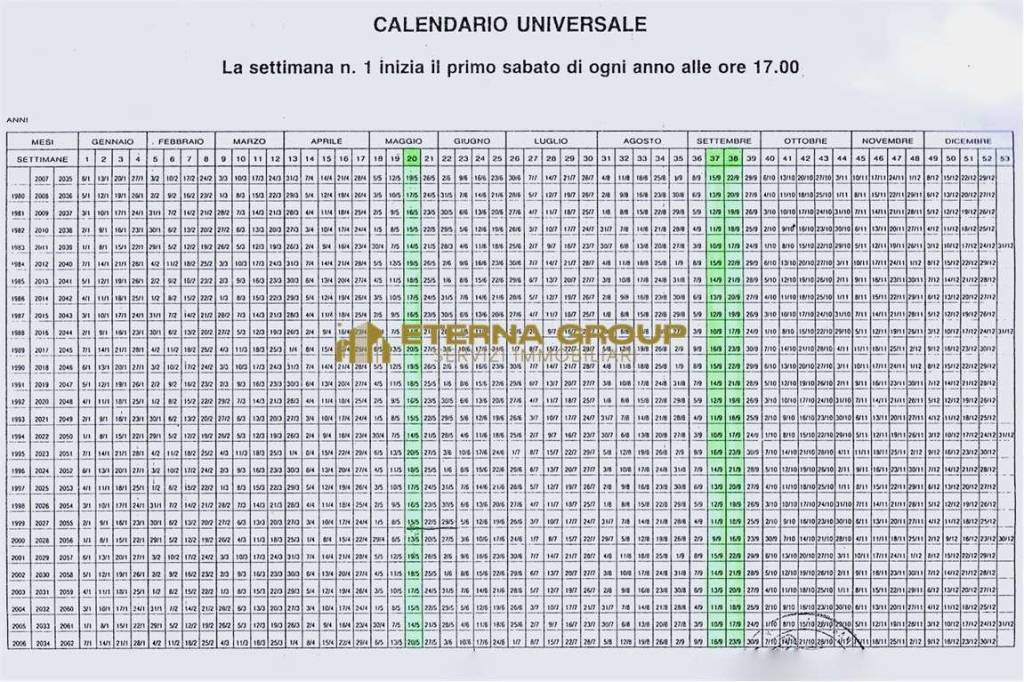 immagine annuncio 11 di 12