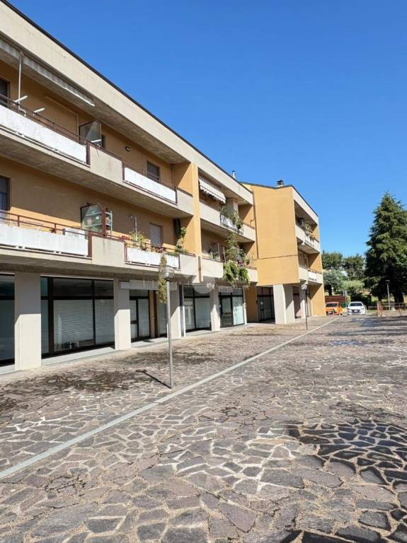 immagine annuncio 1 di 6