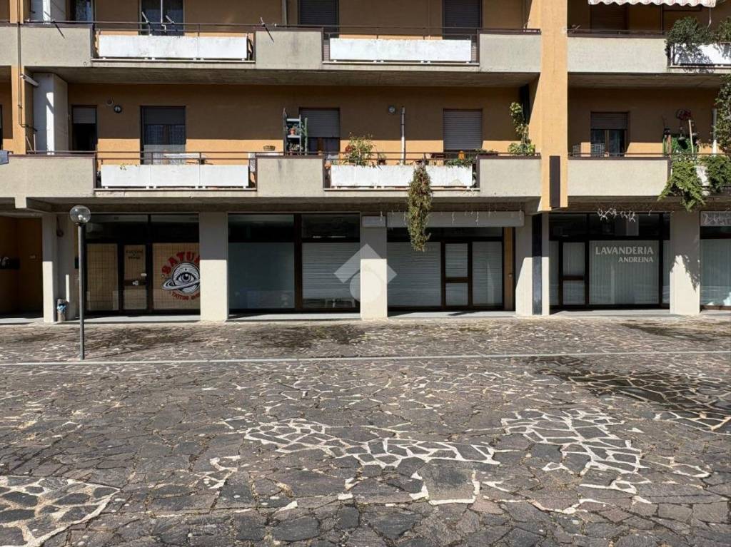 immagine annuncio 2 di 6