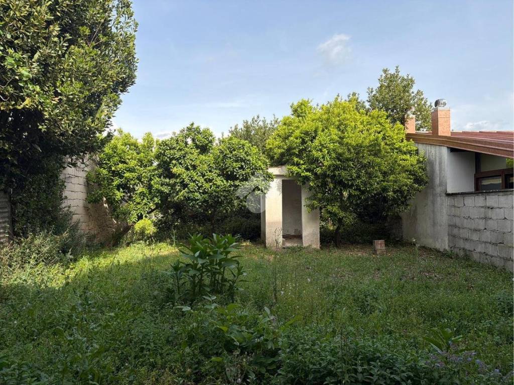 immagine annuncio 10 di 13