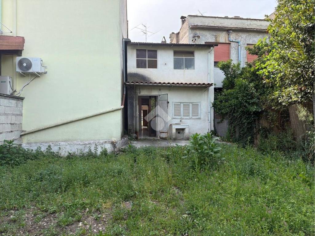 immagine annuncio 12 di 13