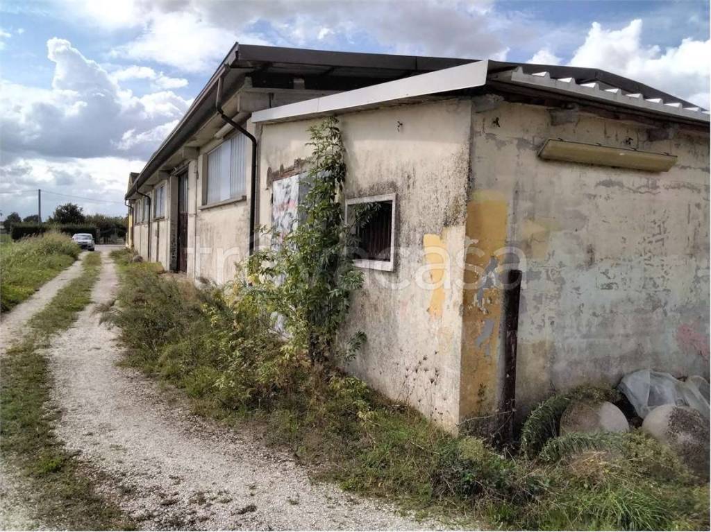 immagine annuncio 4 di 7