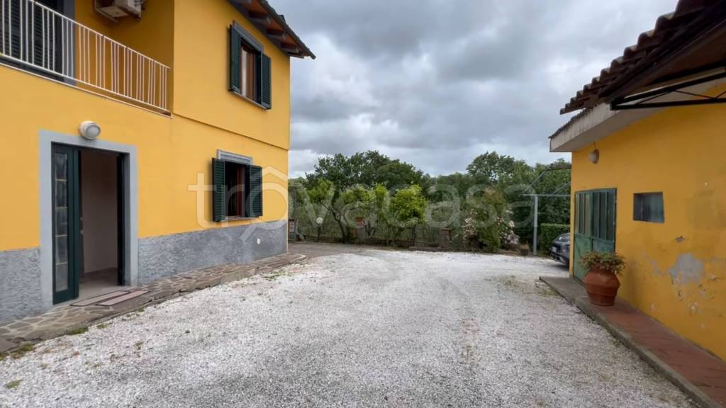 immagine annuncio 9 di 14
