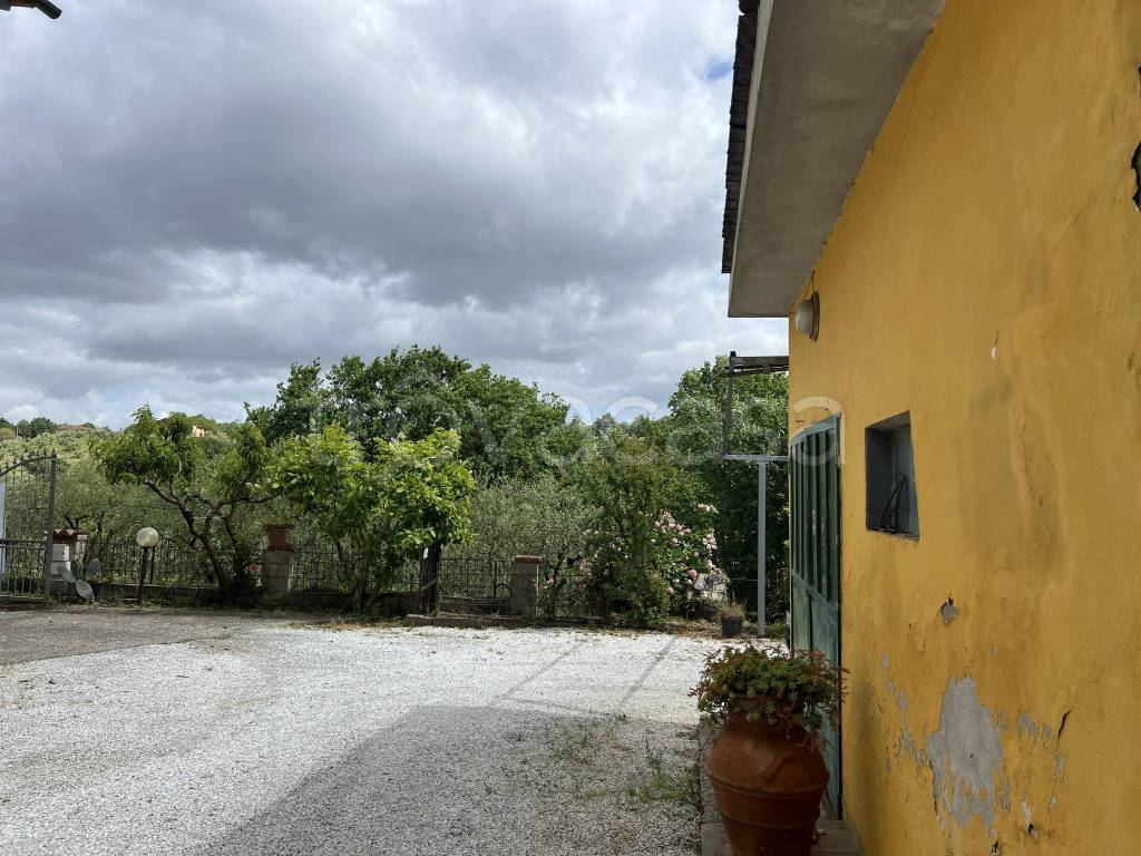 immagine annuncio 11 di 14