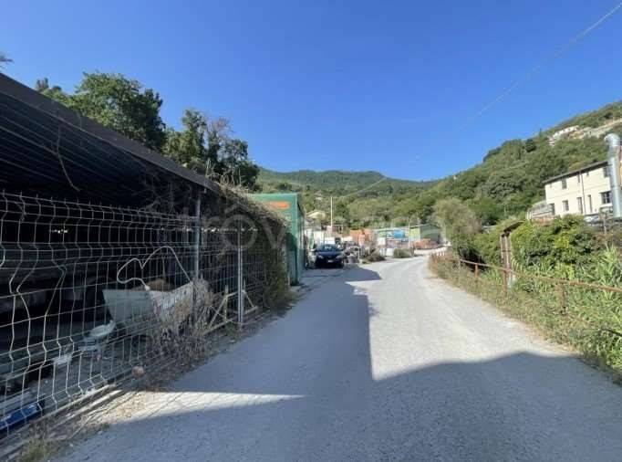 immagine annuncio 1 di 4