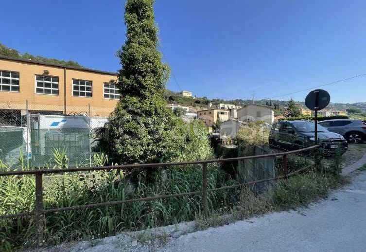 immagine annuncio 5 di 6