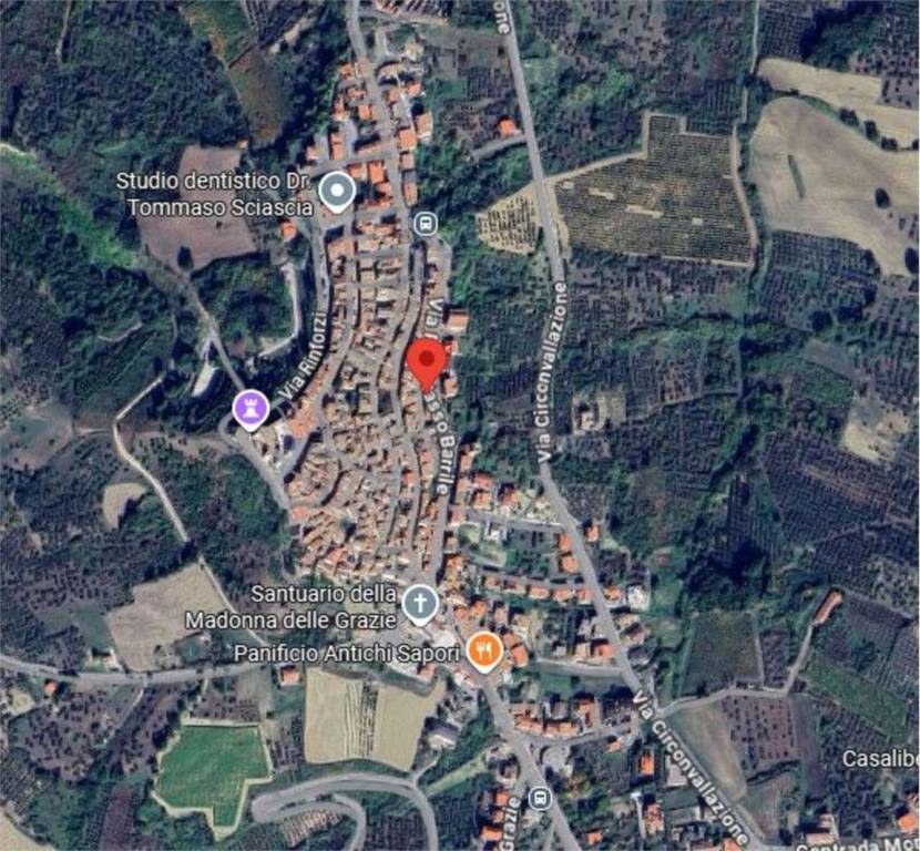immagine annuncio 11 di 12
