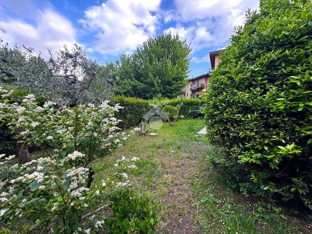 immagine annuncio 11 di 13