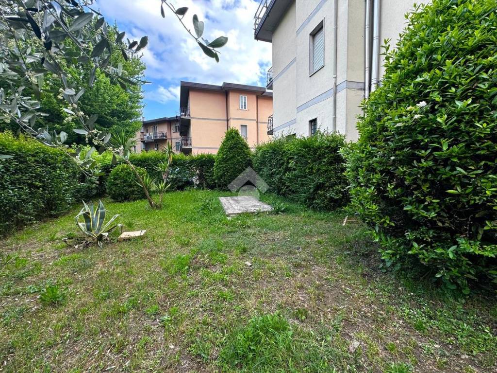 immagine annuncio 12 di 13