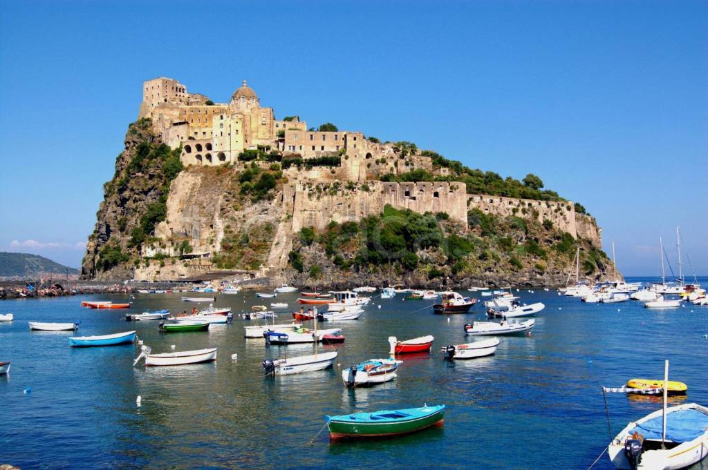 immagine annuncio 9 di 12
