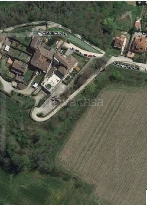 immagine annuncio 5 di 12