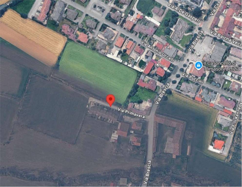 immagine annuncio 9 di 14