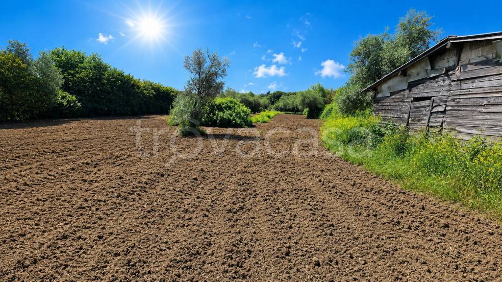 immagine annuncio 3 di 13