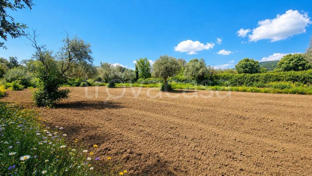 immagine annuncio 9 di 13