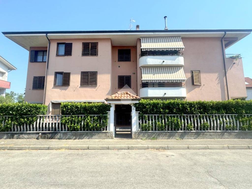immagine annuncio 2 di 15