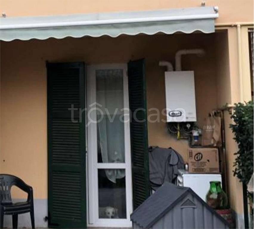immagine annuncio 11 di 14