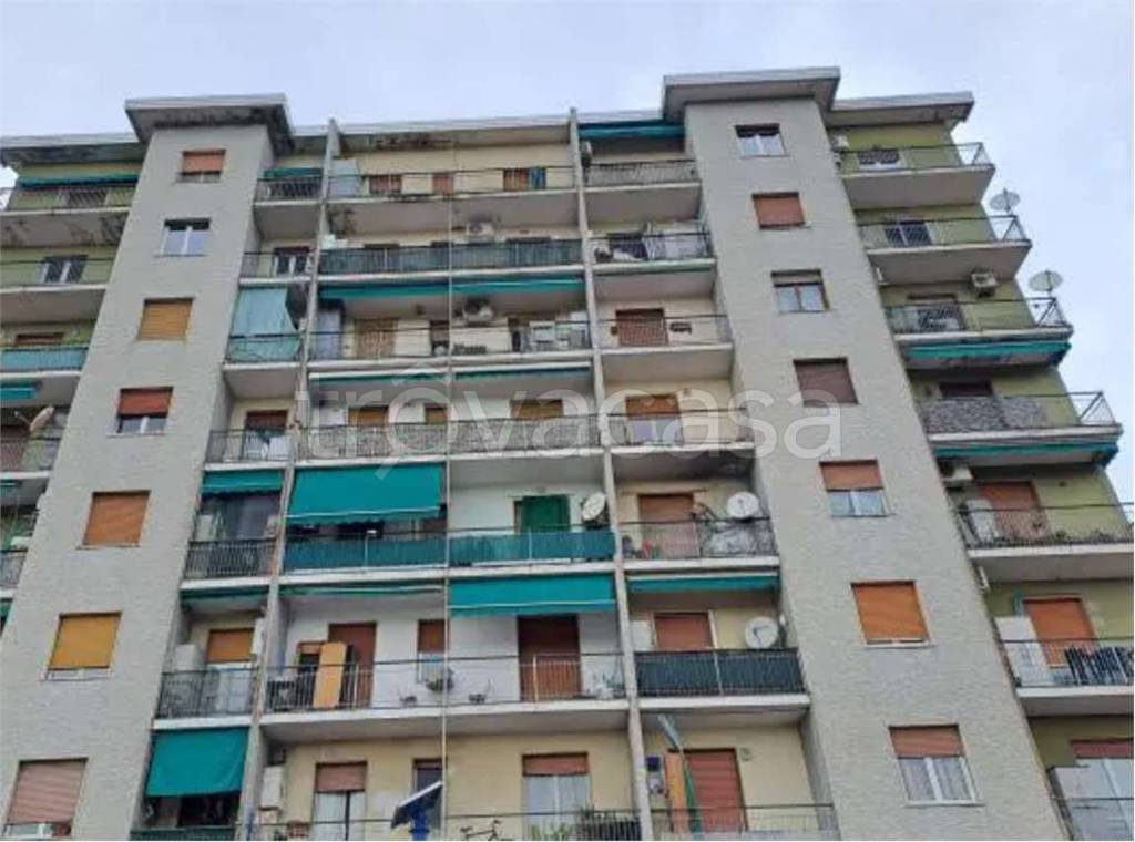 immagine annuncio 2 di 14