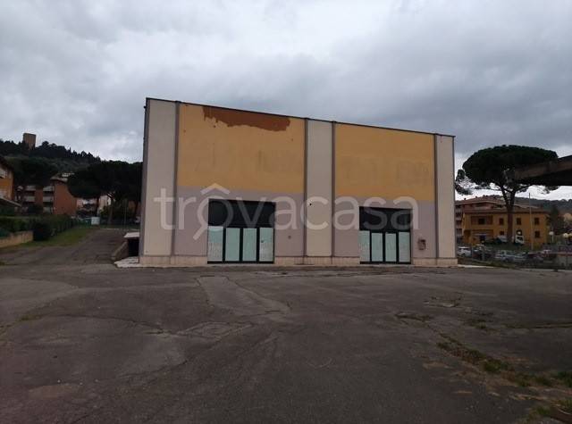 immagine annuncio 3 di 7
