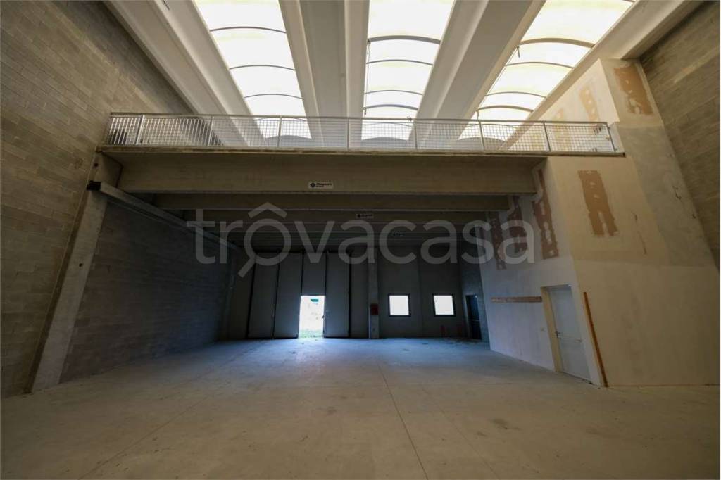 immagine annuncio 3 di 9