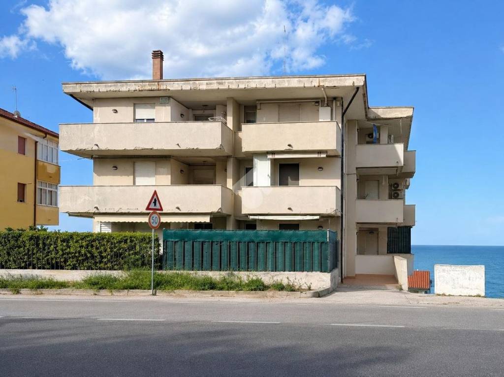 immagine annuncio 11 di 12