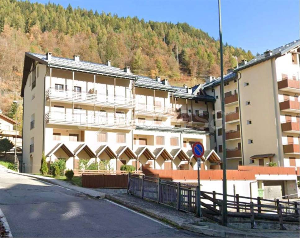 immagine annuncio 9 di 14