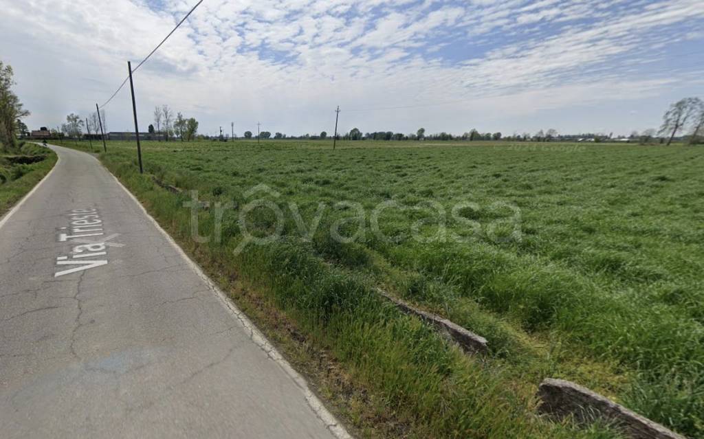 immagine annuncio 1 di 9