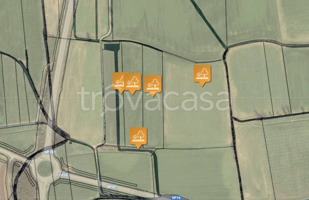 immagine annuncio 2 di 7